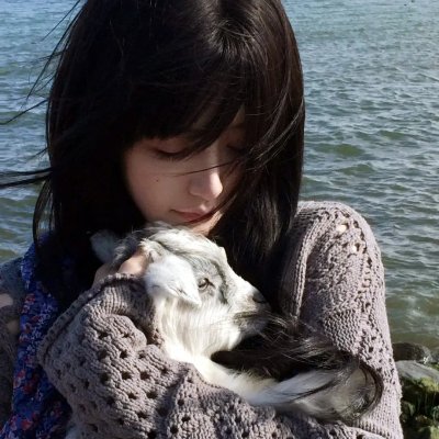 花姊妹风流债