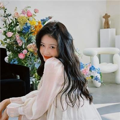 挎斗摩托车里的狗